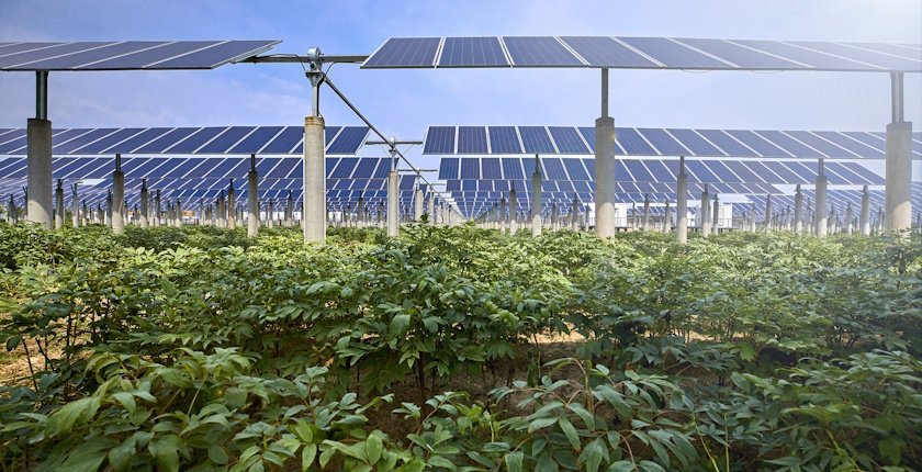 Research project in Romania explores the use of agrisolar systems with batteries in agriculture